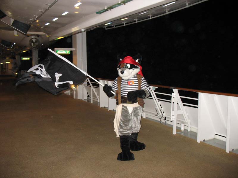 185 pirate coon.jpg